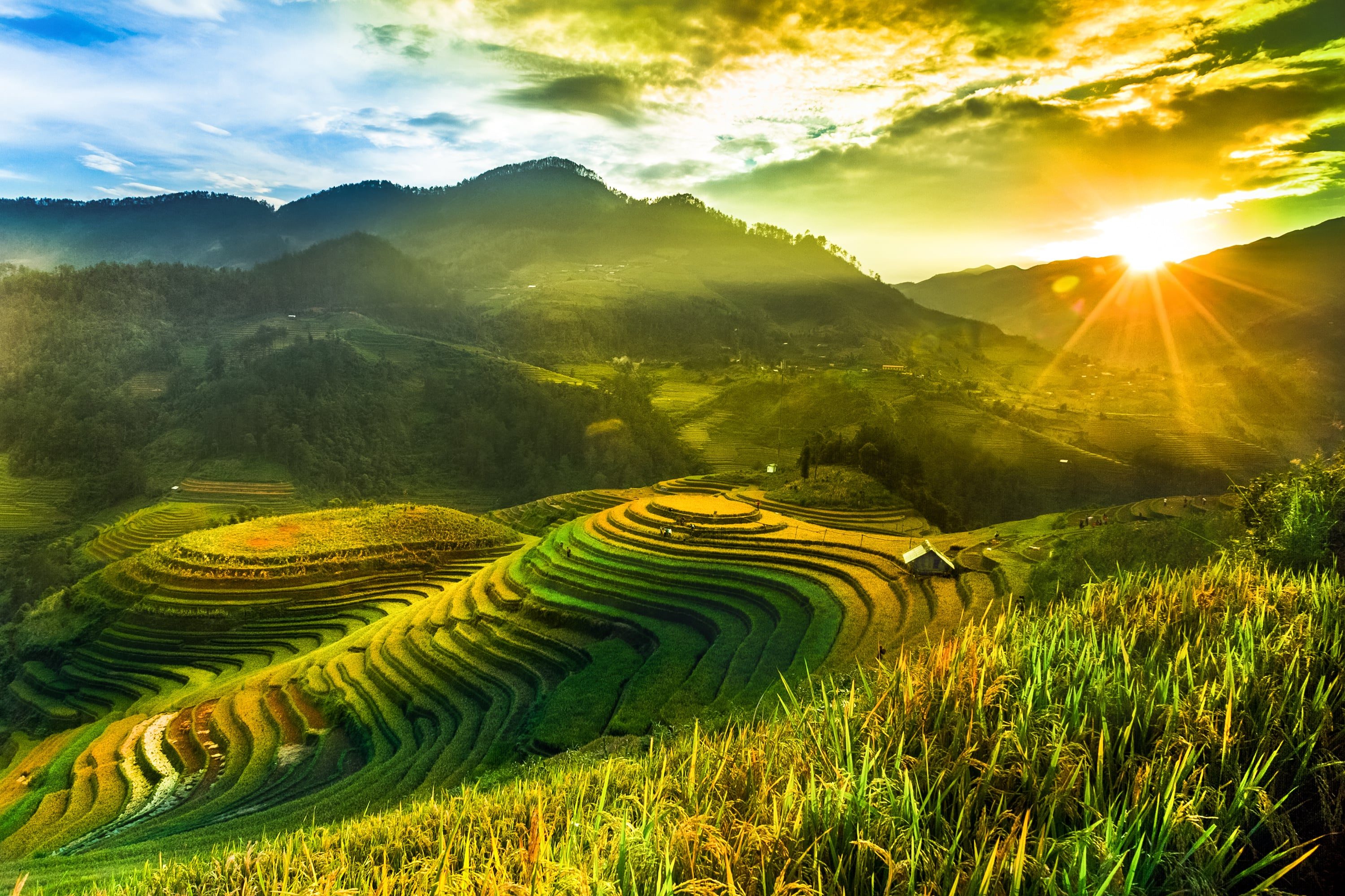 Adobe Stock 239852390 min